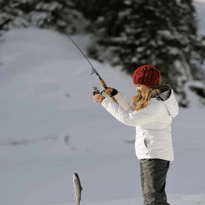 Ice fishing game online, ice fishing