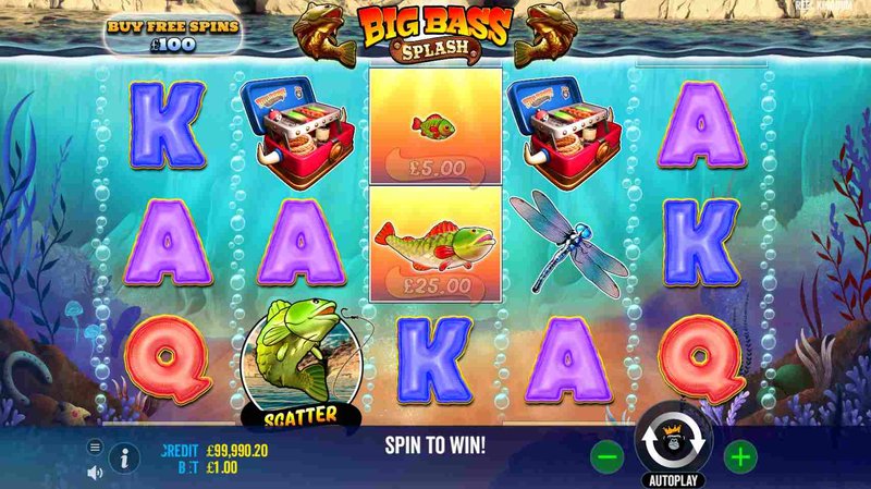 Learn about big bass splash slot